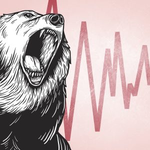 3 Stocks to Buy in a Bear Market