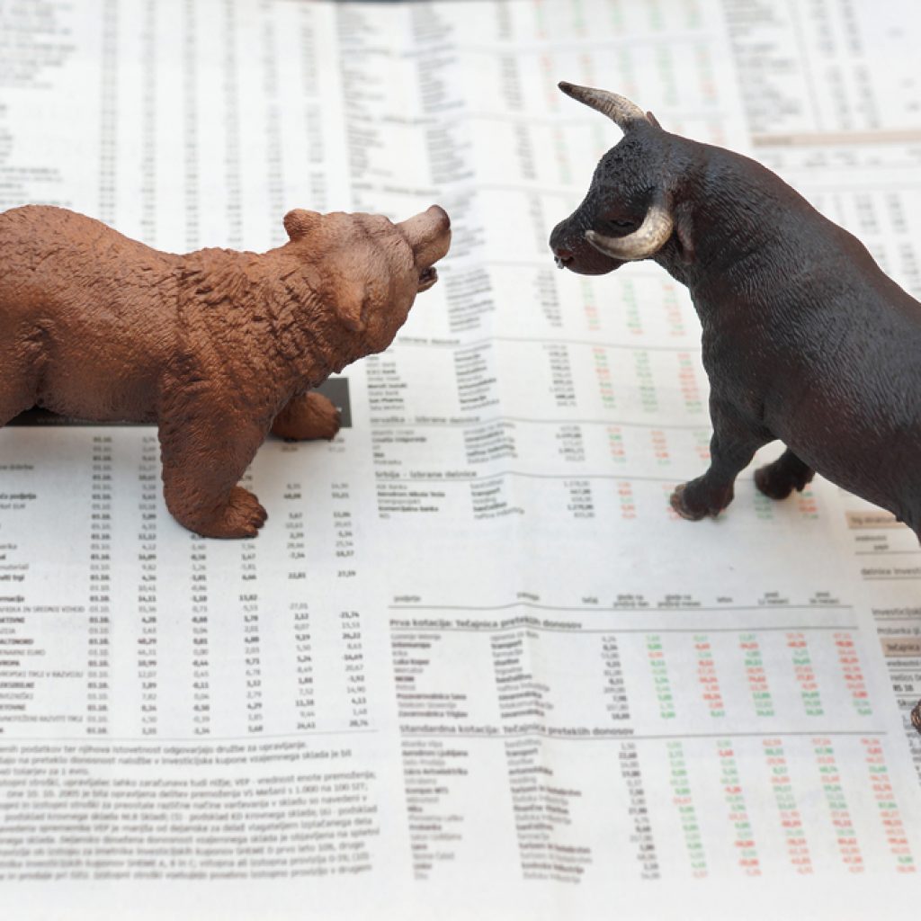 bear market vs bull market